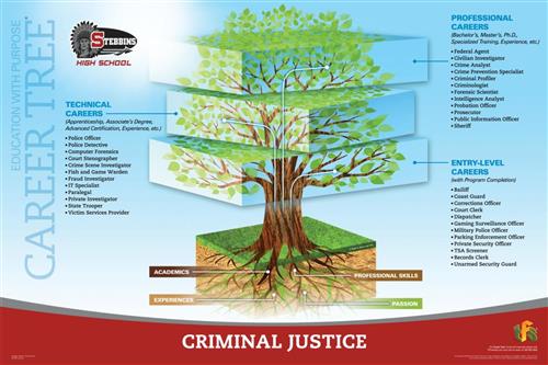 Criminal Justice Career Tree